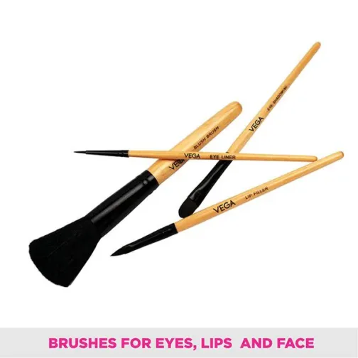 Set of 4 Brushes - EVS-04 - Image 4