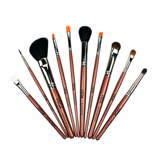 Set of 10 Brushes - LK-10